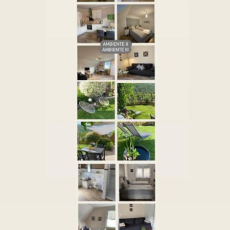 Ferienwohnung Ambiente II Und III Klotten Zewnętrze zdjęcie