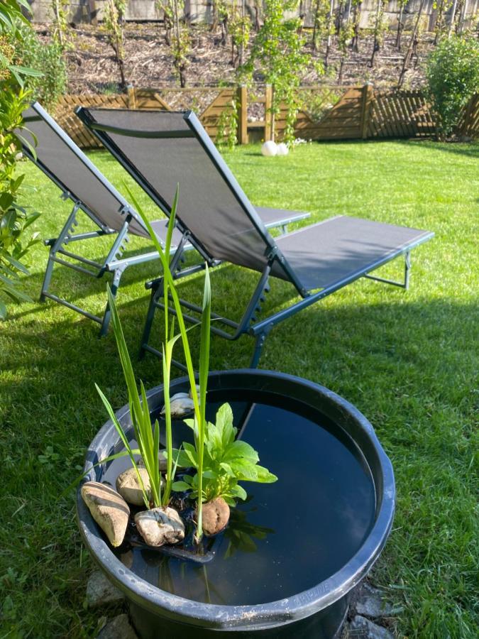 Ferienwohnung Ambiente II Und III Klotten Zewnętrze zdjęcie