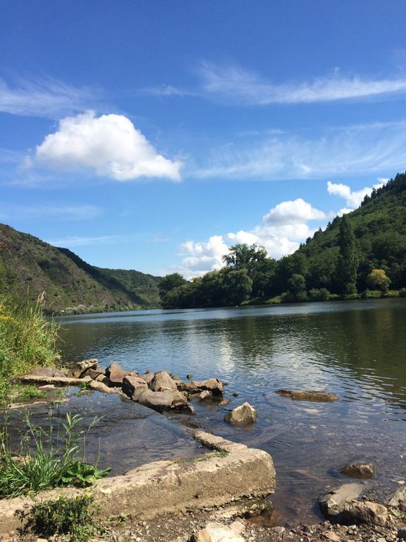 Ferienwohnung Ambiente II Und III Klotten Zewnętrze zdjęcie